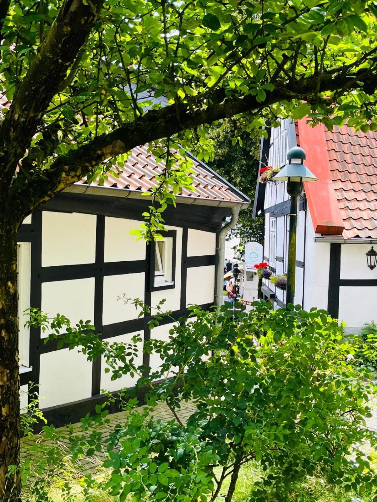 Lateinschule Appartement Tecklenburg Buitenkant foto