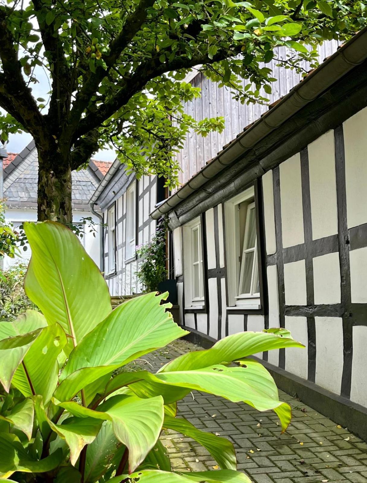 Lateinschule Appartement Tecklenburg Buitenkant foto